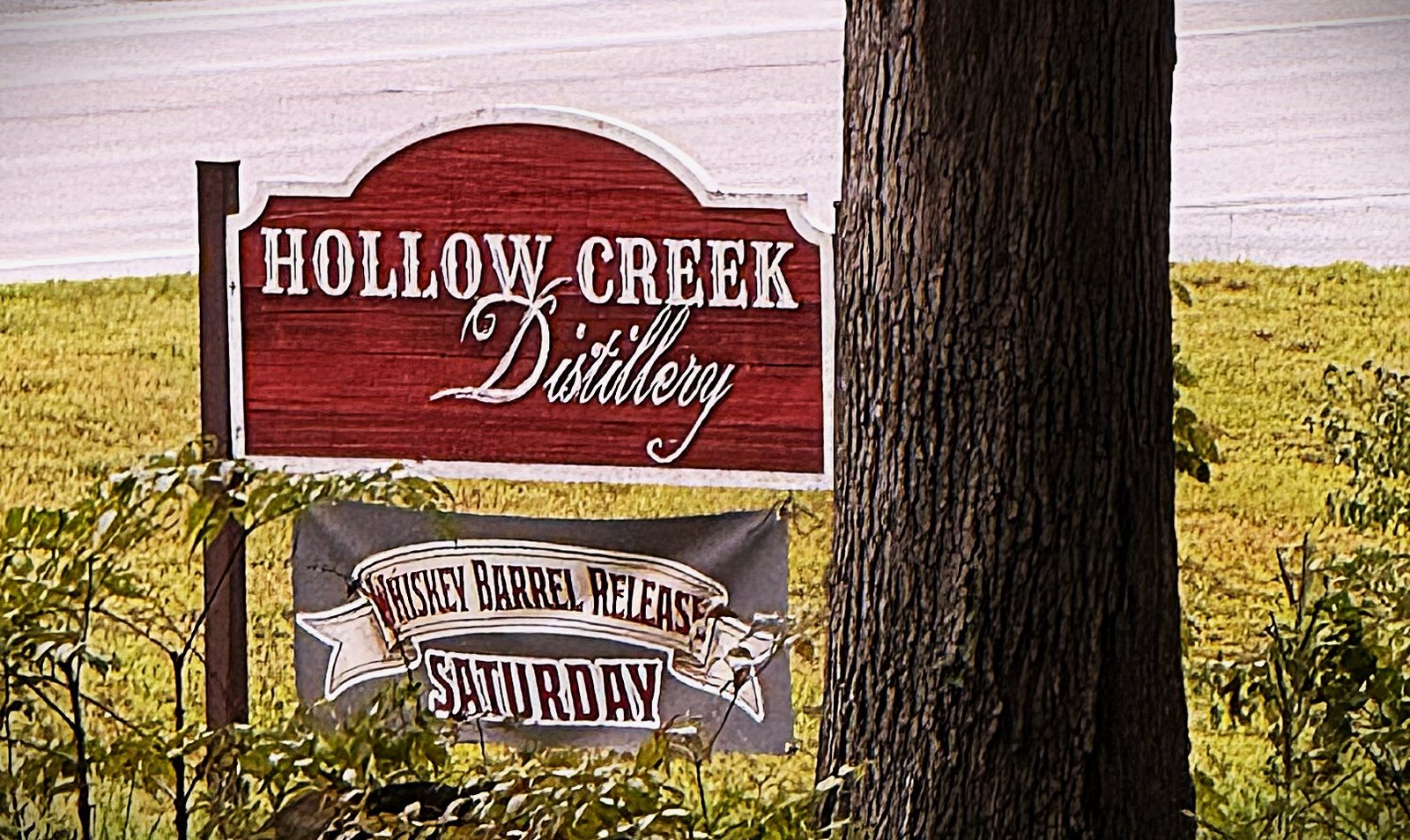Rain, Rare Whiskey, and a Family Welcome at Hollow Creek Distillery